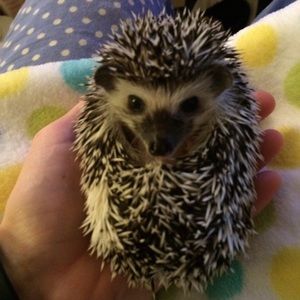 Meet your Posher, Kelsey